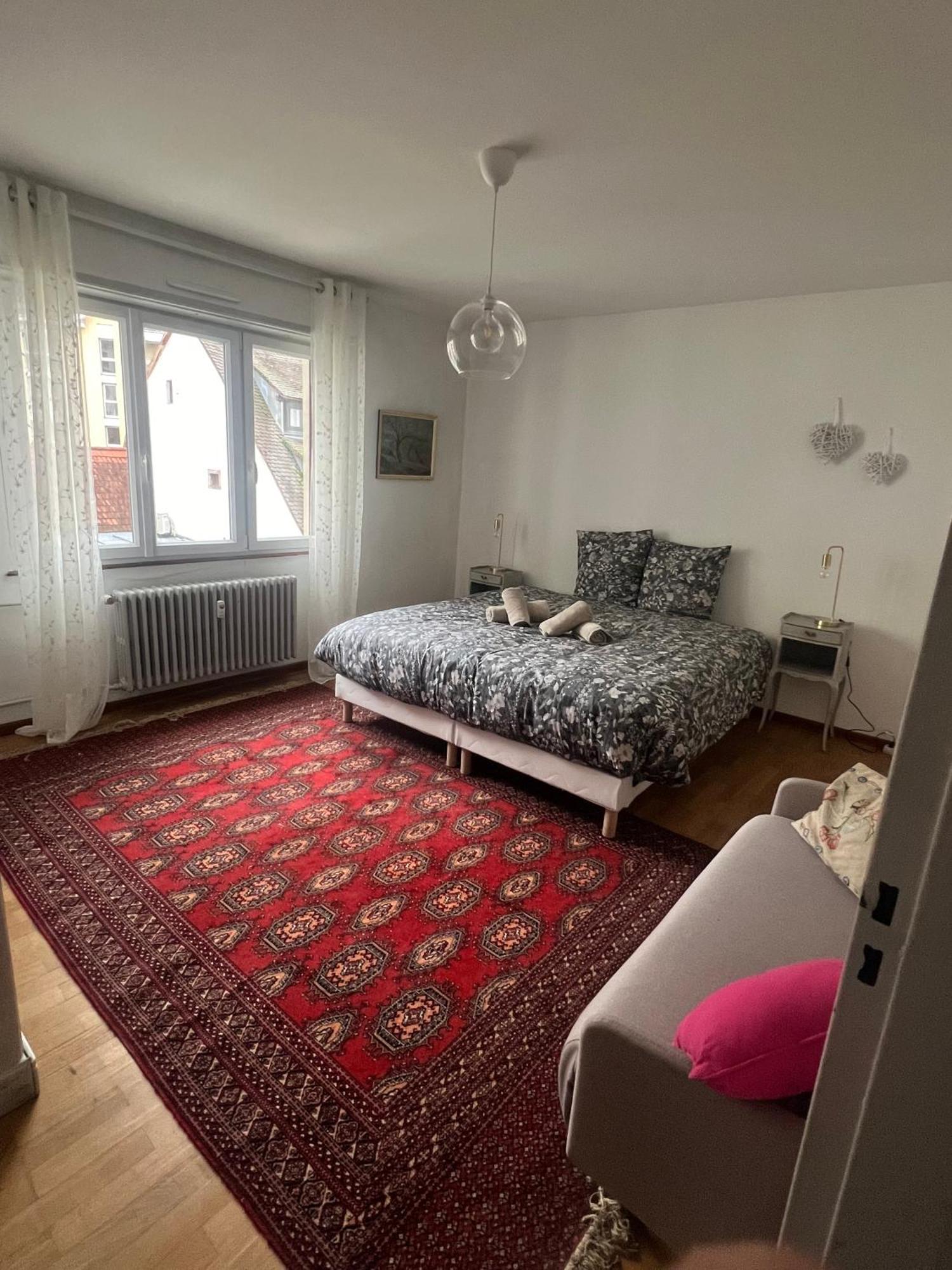 Appartement Spacieux 2 Pieces Hypercentre Strasbourg