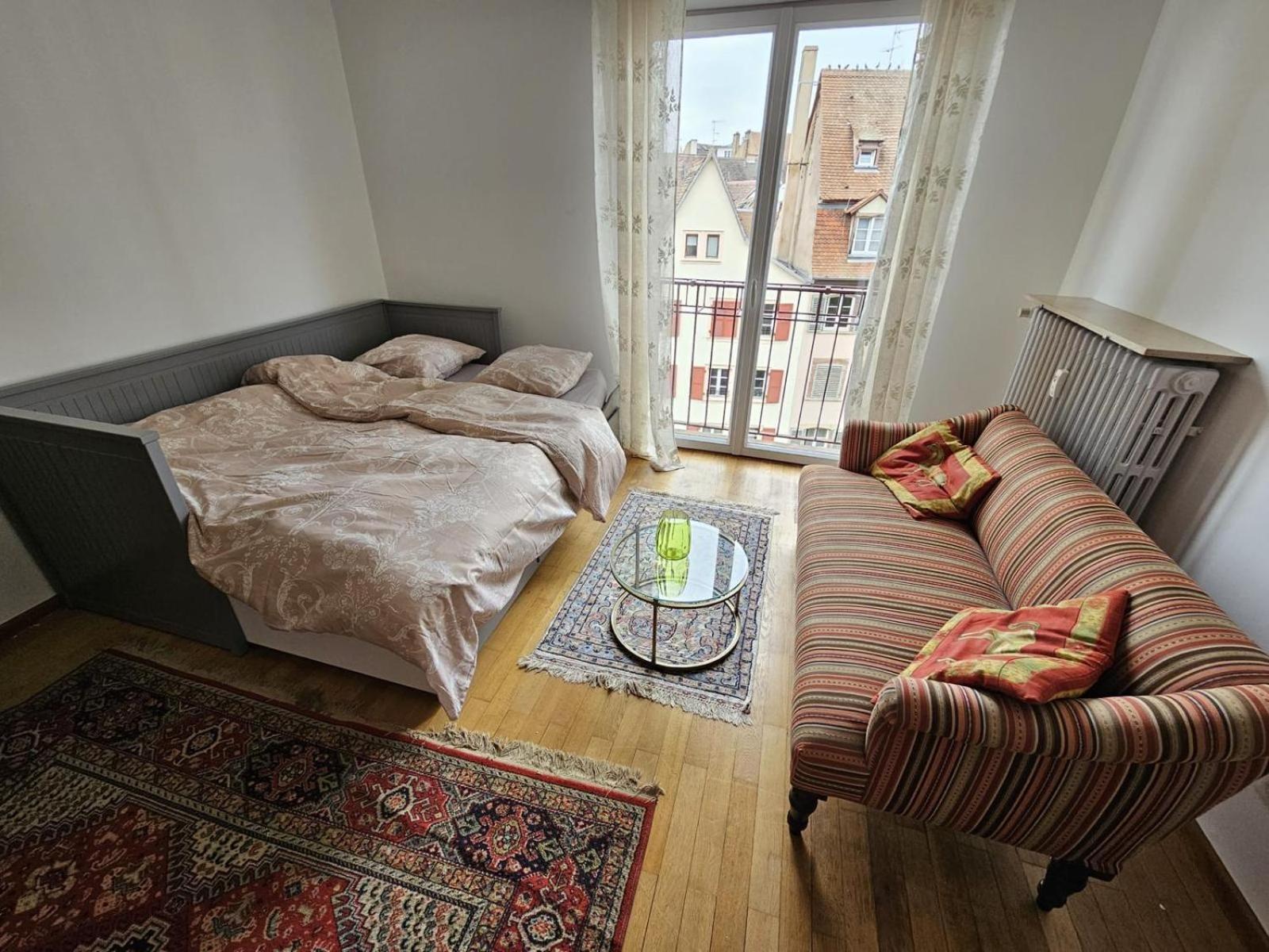 Spacieux 2 Pieces Hypercentre Apartment Strasbourg