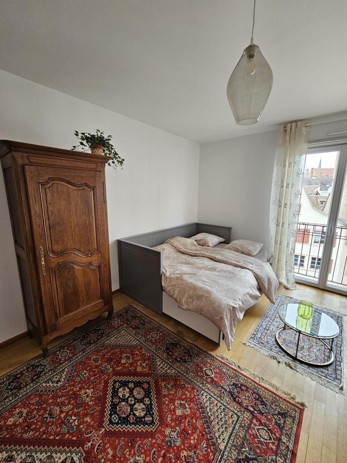 Spacieux 2 Pieces Hypercentre Apartment Strasbourg